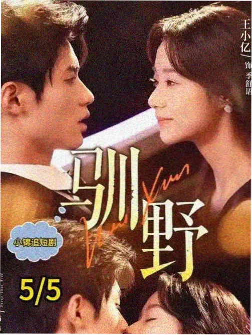 影视大全经典电视剧-大明王朝1566